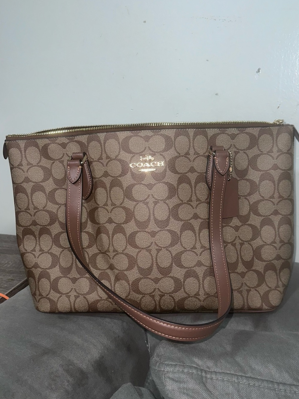 Coach Signature Canvas Tote in Brown and Tan